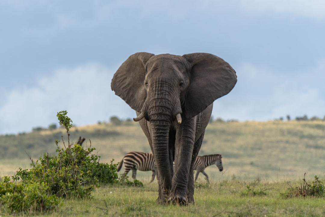 Tarangire National Park