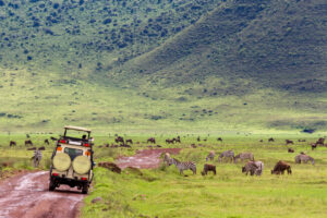 5-Day Classic Northern Tanzania Safari with Materuni & Hot Springs