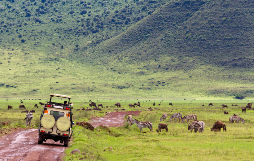 5-Day Classic Northern Tanzania Safari with Materuni & Hot Springs